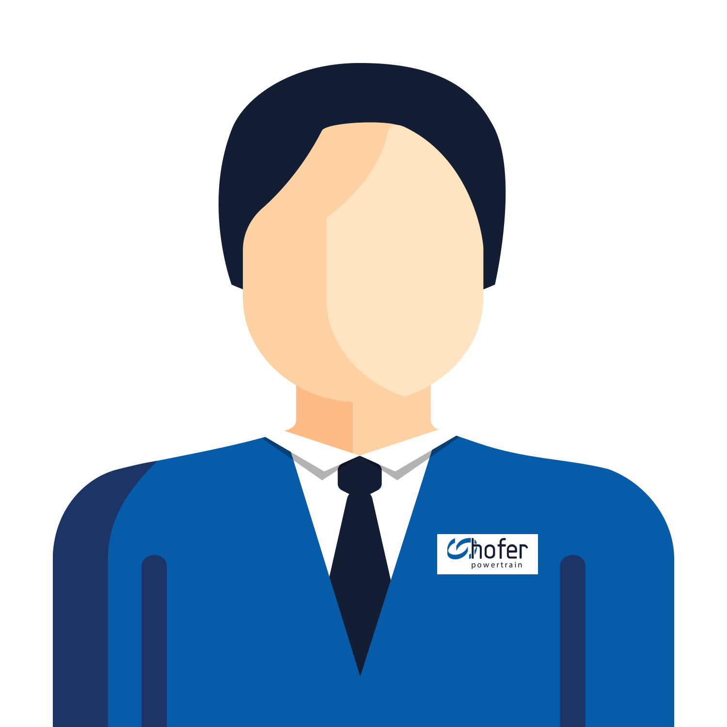 hofer powertrain Complete Powertrain Solutions